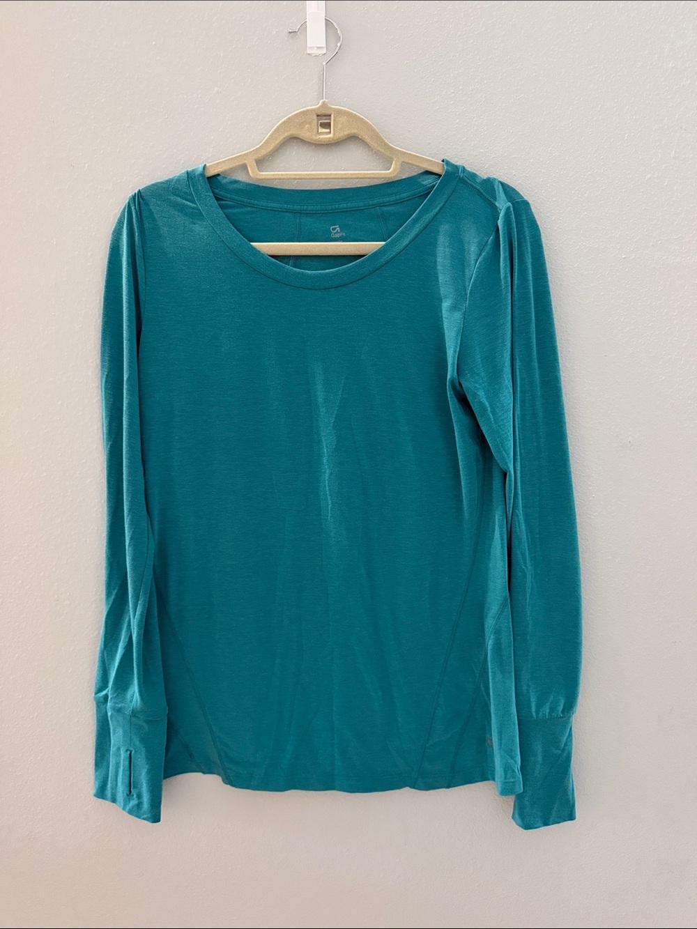Gap Long Sleeve Crewneck Top in Teal